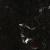 Nero Marquina Shiny 